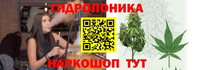 амф Нальчик