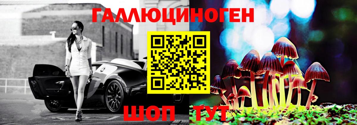 Псилоцибиновые грибы мицелий Рузаевка