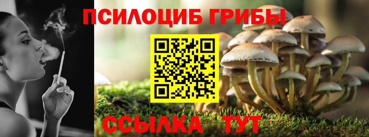 Рузаевка  Псилоцибиновые грибы Psilocybine cubensis  что такое наркотик  Псилоцибиновые грибы Psilocybine cubensis  Вход с VPN 